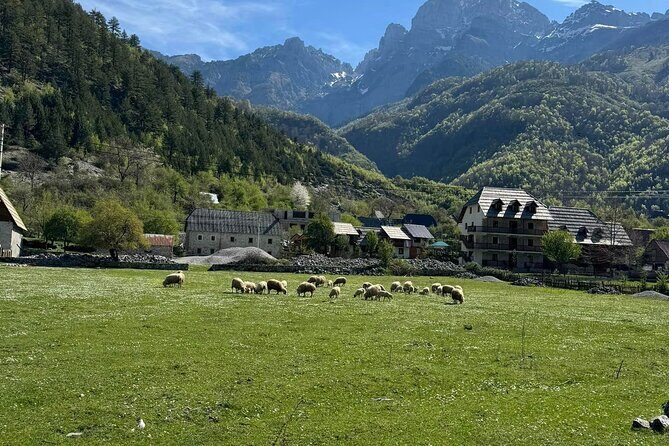 Albanian Alps and Theth Village Day Tour from Tirana w/ Lunch - The Sum Up: Who Should Book This Tour?