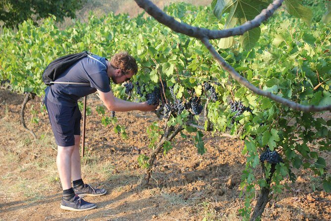 Albanian Highlights - UNESCO sites ,Nature and Food tour - A Deep Dive into the Albanian Highlights Tour