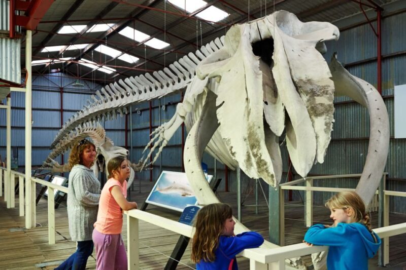 Albany: Historic Whaling Station Entry Ticket - Exploring Albany’s Whaling Heritage in Depth