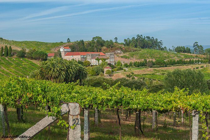 Albariño Private Wine Tour from Santiago de Compostela - Frequently Asked Questions