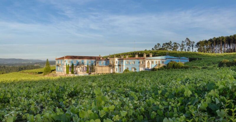 Albariño Wine Tasting with Winery Tour - Albariño Wine Tasting with Winery Tour: A Practical Guide to Galicia’s Flavors