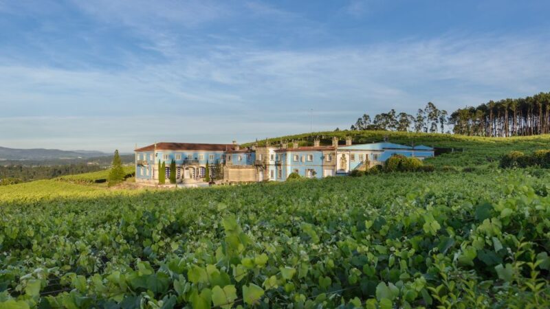 Albariño Wine Tasting with Winery Tour - Key Points