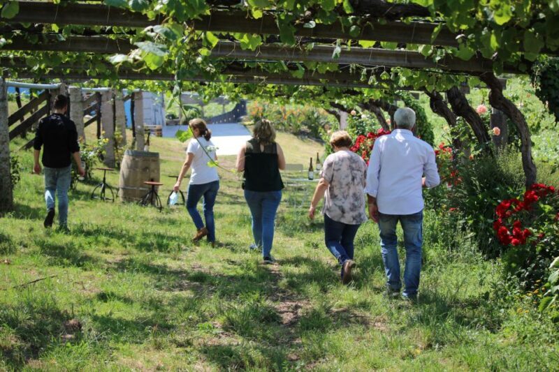 Albariño Wine Tasting with Winery Tour - Who Should Consider This Tour?