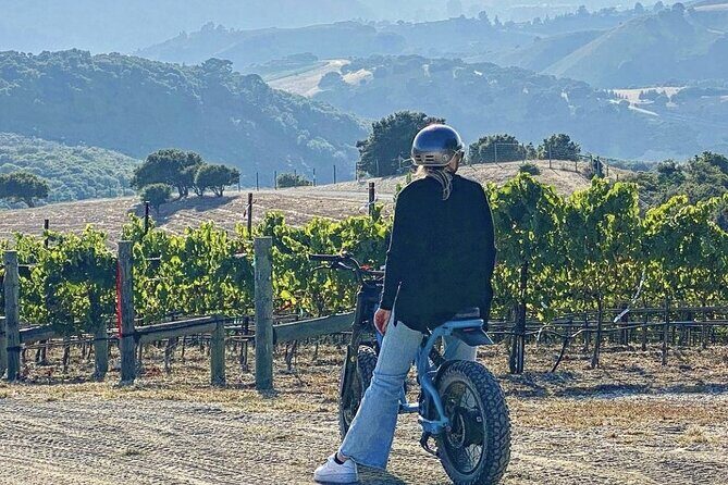 Albatross Ridge Vineyards Electric Bike Tour & Wine Tasting - Key Points