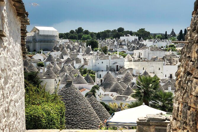 Alberobello: 2-hour Walking Tour - Group or Private - A Closer Look at the Alberobello Tour