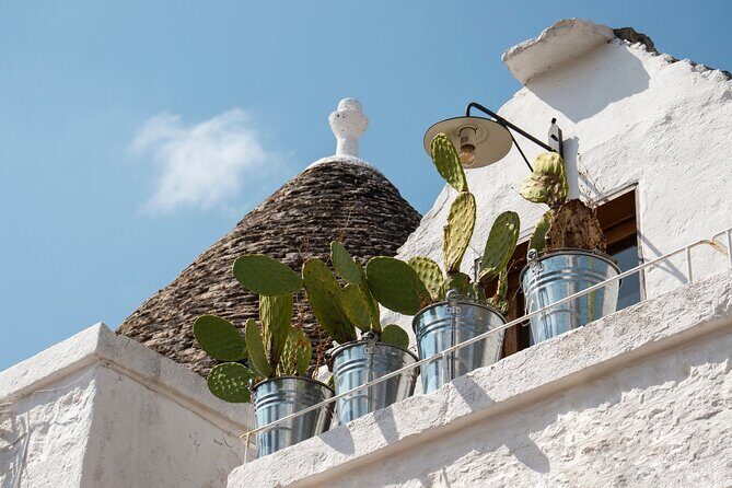 Alberobello: 2-hour Walking Tour - Group or Private - Why This Tour Works