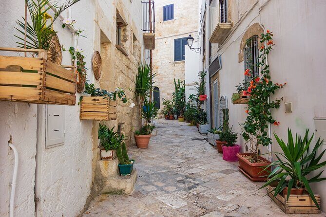 Alberobello, Castellana Caves and Polignano Guided Tour from Bari - The Value of This Tour
