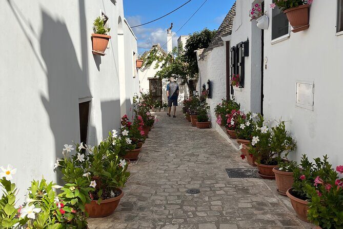 Alberobello & Matera, From Bari with Comfortable Transport - Final Thoughts