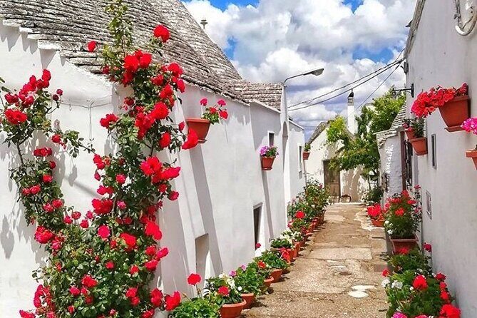 Alberobello Private Tour: Wine, Food, Trulli & Flavors of Puglia - Authentic Experiences and Authentic Value
