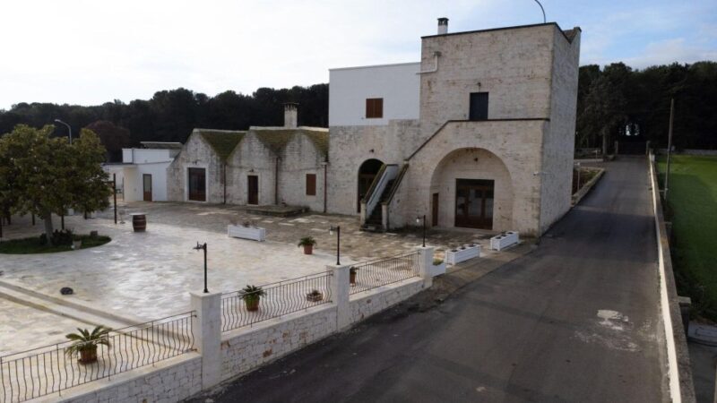 Alberobello: Winery Tour with Wine and Food Tasting - A Deep Dive into the Alberobello Winery Tour