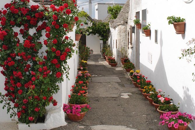 Alberobello&Ostuni&Polignano a Mare - A Deep Dive into the Alberobello&Ostuni&Polignano a Mare Tour