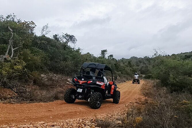 Albufeira 1 hour Off-Road Tour Buggy Adventure Tour - A Fun and Authentic Off-Road Adventure in Algarve