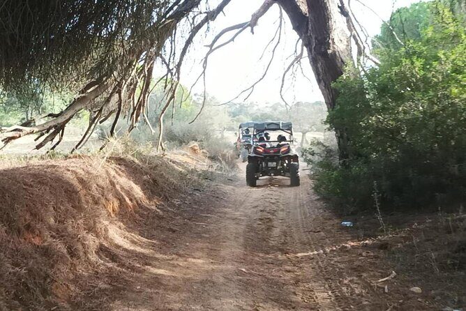 Albufeira 1 hour Off-Road Tour Buggy Adventure Tour - Summary of Value and Recommendations