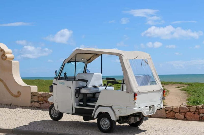 Albufeira: 1-Hour Tuk Tuk Tour - Who Should Consider This Tour?