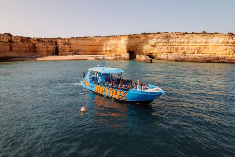 Albufeira: 2.5-Hour Dolphin Watching and Caves Trip - Who Should Consider This Tour?