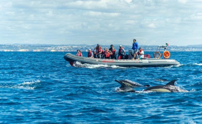 Albufeira: 2.5-Hour Private Dolphin & Benagil Caves tour - The Heart of the Experience: What You Can Expect