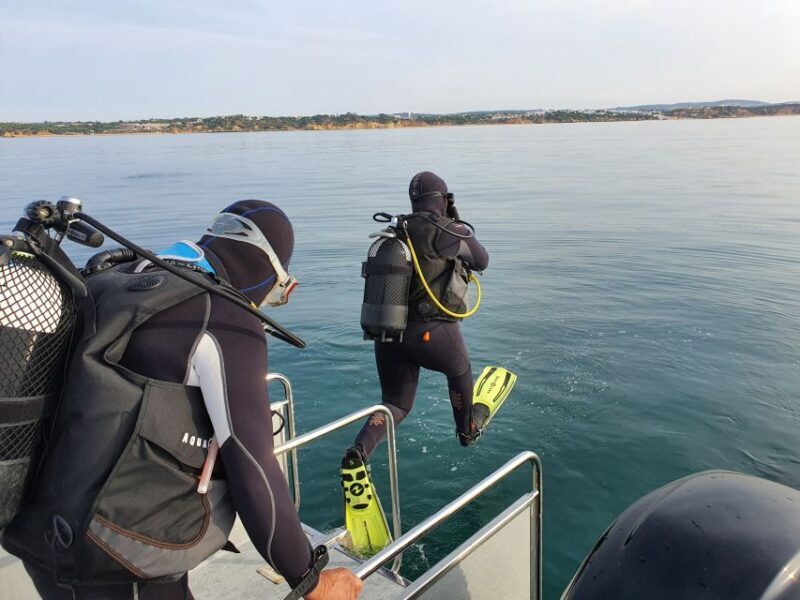 Albufeira: 2 DIVES TRIP (ONLY CERTIFIED DIVERS) - Key Points