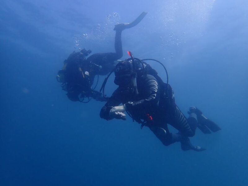 Albufeira: 2 DIVES TRIP (ONLY CERTIFIED DIVERS) - The Experience: What You Can Expect