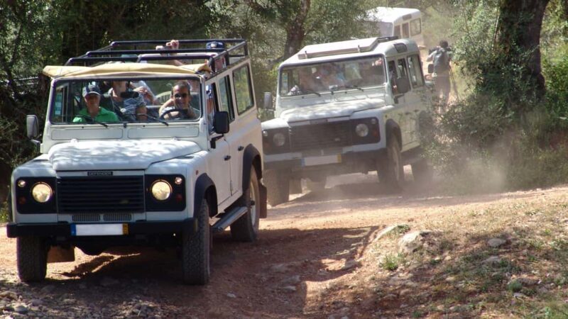 Albufeira: 6 Hour Jeep Tour with Lunch - Who Will Love This Tour?