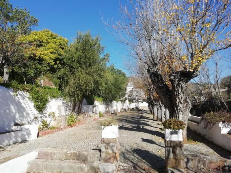 Albufeira: 6 Hour Jeep Tour with Lunch - FAQs