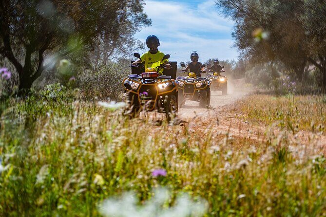 Albufeira: 6-Hour Quad Tour with Lunch - Full Day Adventure - The Sum Up