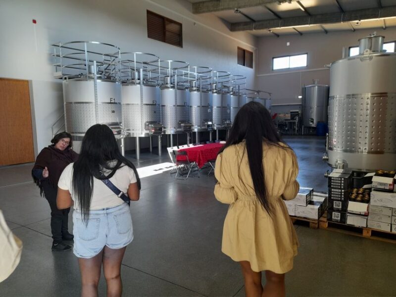 Albufeira: Algarve Coast Guided Tour with Wine Tasting - Key Points