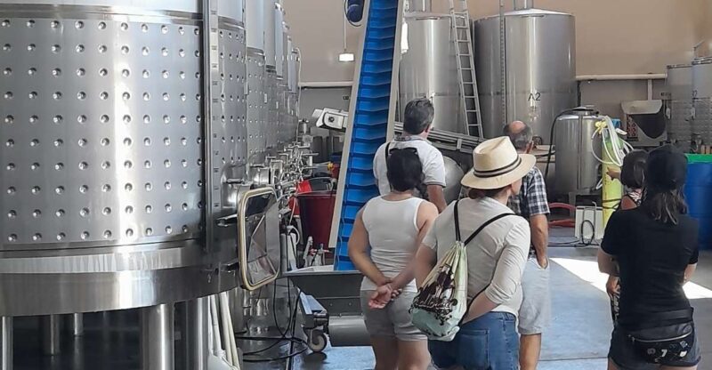 Albufeira: Algarve Coast Guided Tour with Wine Tasting - Final Thoughts