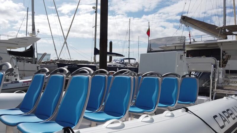 Albufeira: Benagil Cave and Dolphin Sightseeing Boat Cruise - FAQs