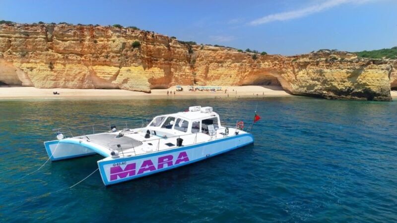 Albufeira: Catamaran Cruise with BBQ & Open Bar on the Beach - Key Points