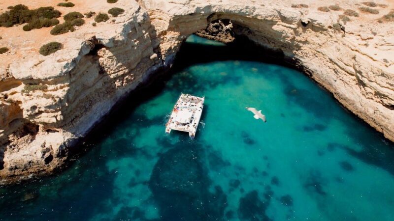 Albufeira: Caves and Coastline Catamaran Cruise to Benagil - Frequently Asked Questions