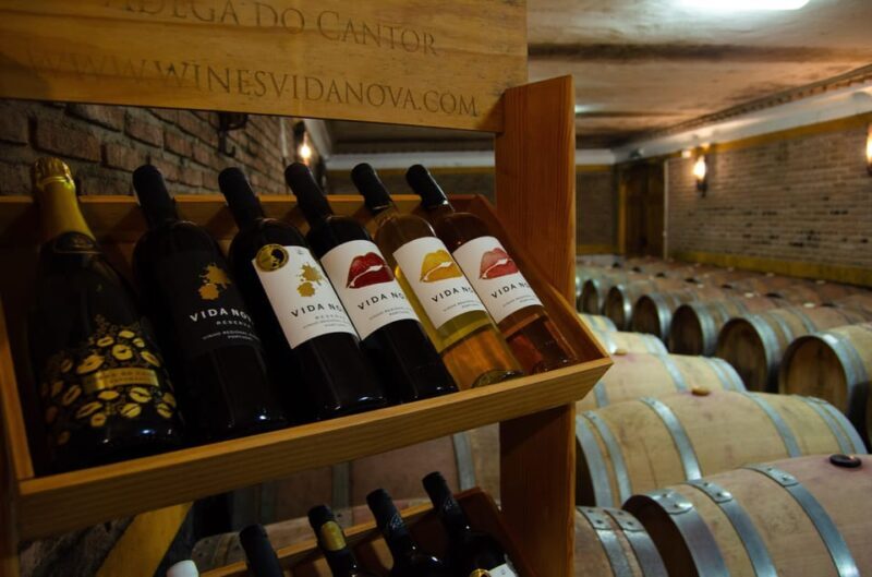 Albufeira: City Highlights & WINE TASTING - What’s Included and How It Works