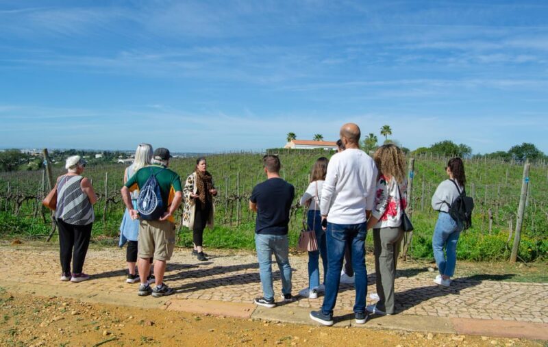 Albufeira: City Highlights & WINE TASTING - Transportation and Group Size