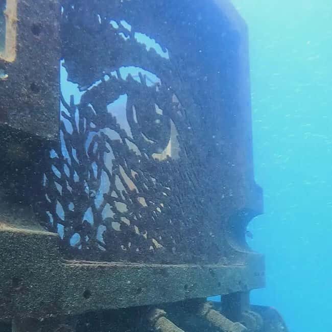 Albufeira: Double Ocean Dive for Certified Divers - Key Points