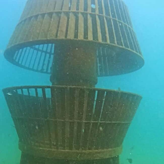 Albufeira: Double Ocean Dive for Certified Divers - Who Should Consider This Experience?