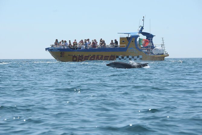 Albufeira Dreamer Boat Trip - Final Thoughts