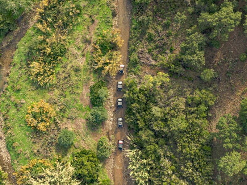 Albufeira: Full-Day Buggy Driving Tour with Lunch Included - Experience the Algarve Off-Road: Full-Day Buggy Adventure with Lunch