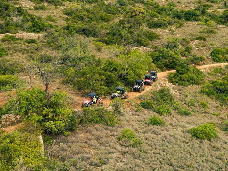 Albufeira: Full-Day Buggy Driving Tour with Lunch Included - Analyzing the Tour’s Value