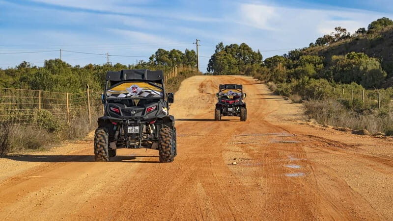 Albufeira: Full-Day Buggy Driving Tour with Lunch Included - Final Thoughts: Why It’s Worth a Try