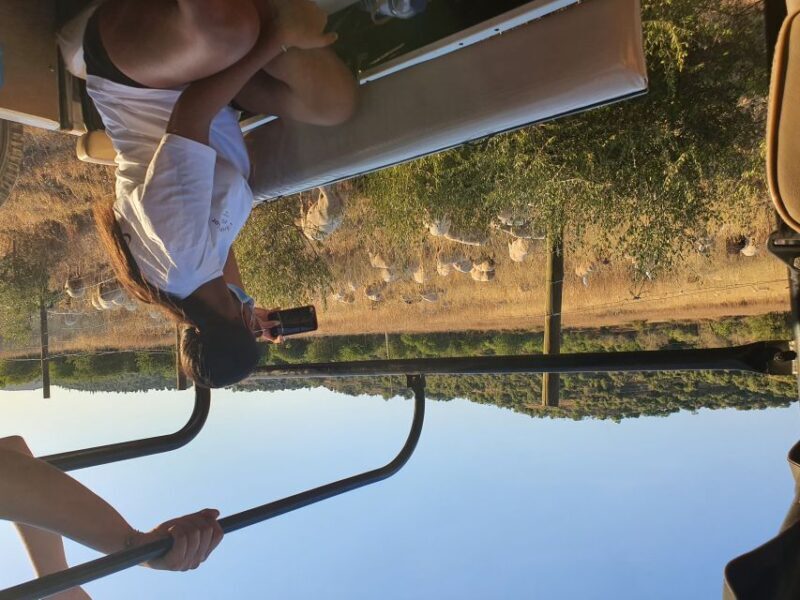 Albufeira: Full Day Safari Excursion in Algarve Mountains - FAQ