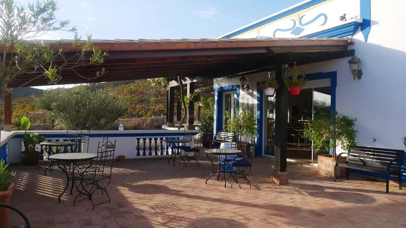 Albufeira, Olhão, Faro: visit to a vineyard, free time in Silves - Key Points