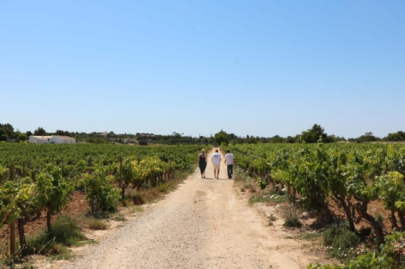 Albufeira/Porches/Vilamoura: Wine Tasting with Tapas & Music - A Deep Dive into the Algarve Wine Tasting Tour
