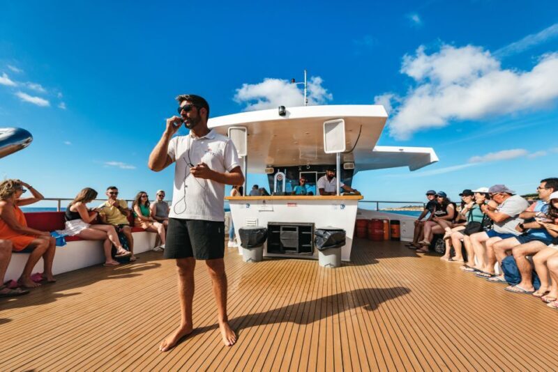 Albufeira: Sightseeing Cruise with Beach BBQ and Open Bar - The Cruise: Coastal Highlights