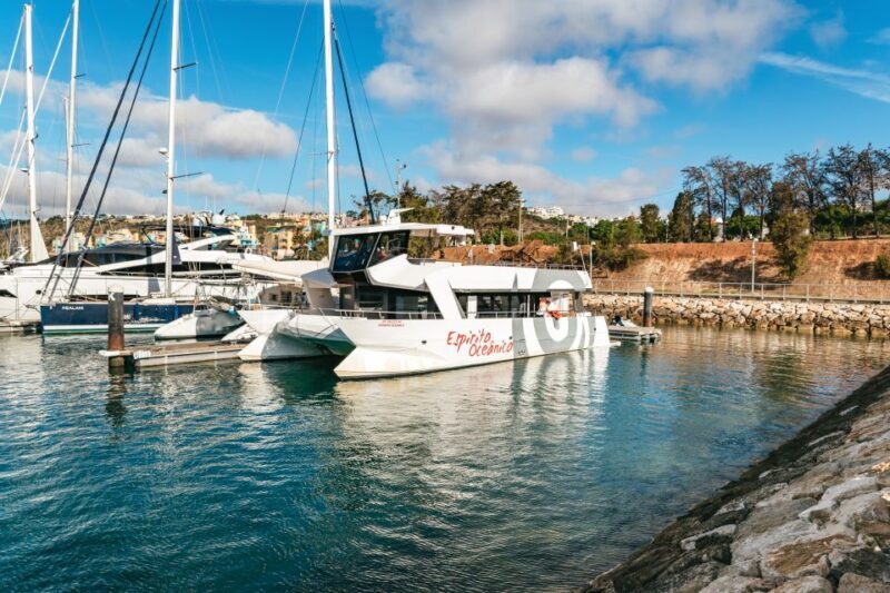 Albufeira: Sightseeing Cruise with Beach BBQ and Open Bar - Drinks and Water Activities