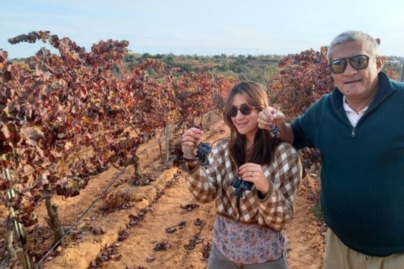 Albufeira/Vilamoura: Winery Tour with Wine Tasting and Tapas - An In-Depth Look at the Tour Experience