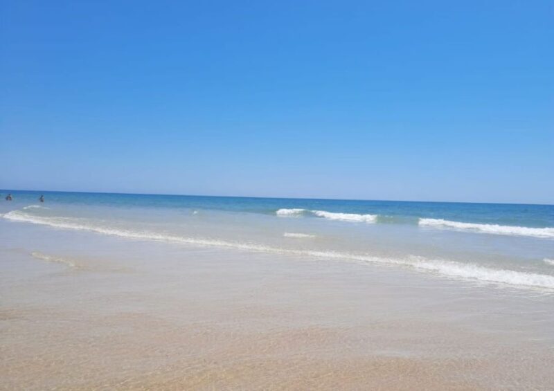 Albufeira - Visit Olhão & Culatra Island with lunch included - Detailed Breakdown of the Itinerary