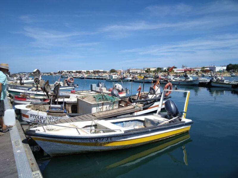 Albufeira - Visit Olhão & Culatra Island with lunch included - Who Would Enjoy This Tour?