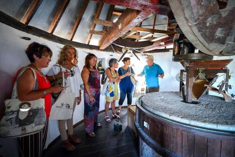 Albufeira: Wine Tasting Tour with Castle and Windmill Visit - Discovering Algarve’s Charm: Wine, History, and Authentic Flavors