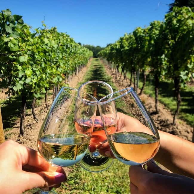 Albufeira: Wine Tasting Tour with Castle and Windmill Visit - Why This Tour Offers Value