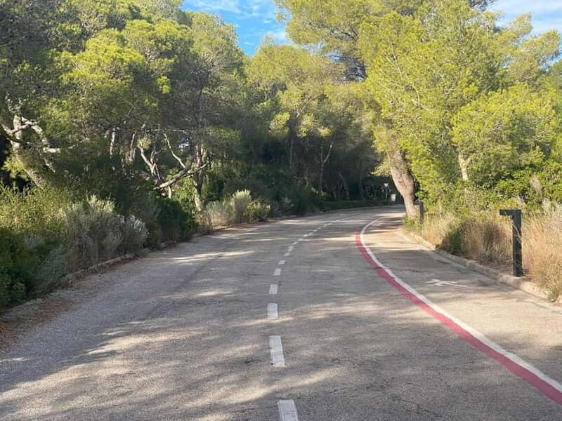 Albufera Bike Adventure: Wetlands, Beaches & Biodiversity - An Honest Look at the Albufera Bike Adventure