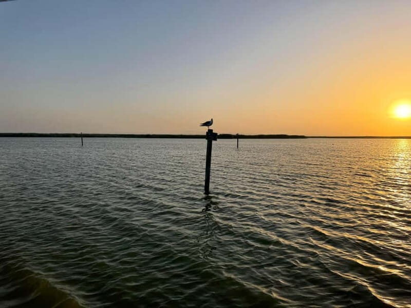 Albufera Bike Adventure: Wetlands, Beaches & Biodiversity - Price and Value Consideration